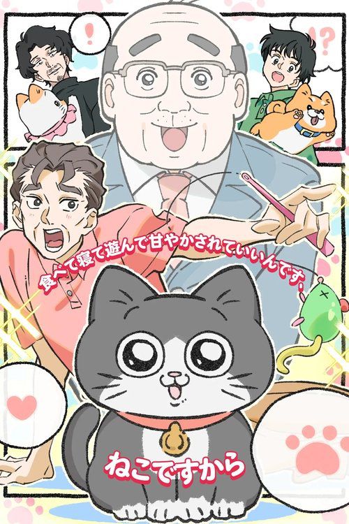 Neko Oji: The Guy That Got Reincarnated as a Cat