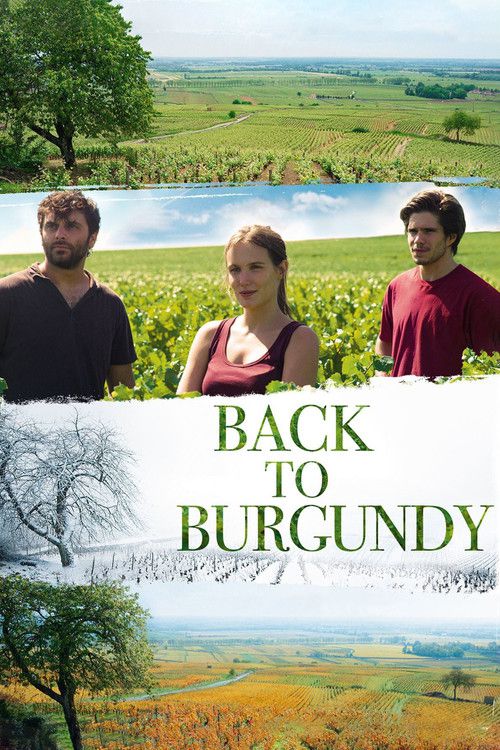 Vår vingård i Bourgogne