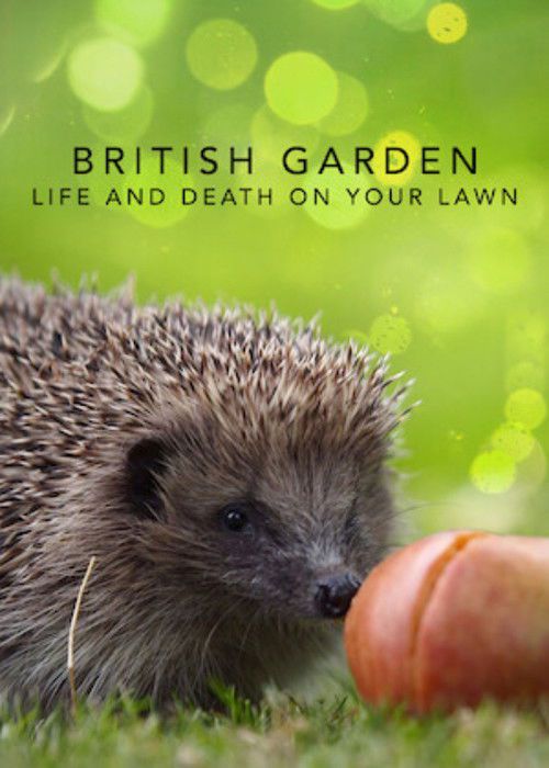 British Garden: Life and Death on Your Lawn