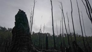 S1E11