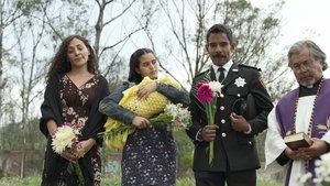S1E6