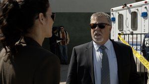 S6E4