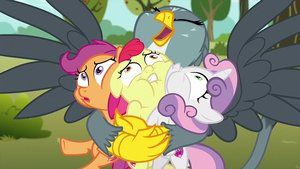 S6E19