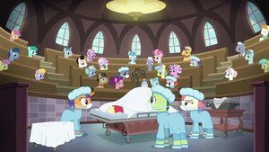 S6E23