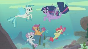 S8E6