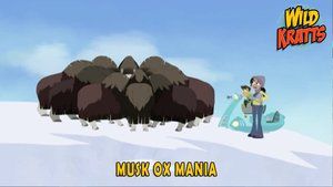 S4E24