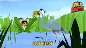 S5E11