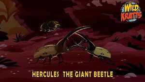 S5E16