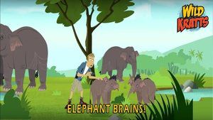S5E8