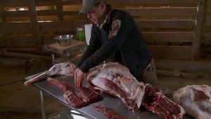 S6E6