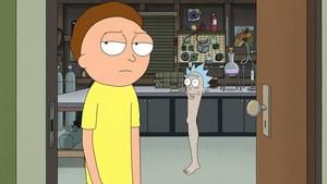 S7E6