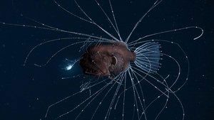 S1E6
